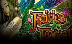 fairies forest
