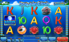dolphin cash